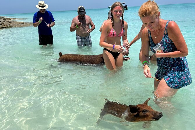 007 Private Beach Club -Swimming Pigs, Snorkeling, Lunch, Drinks - Key highlights to know before you go