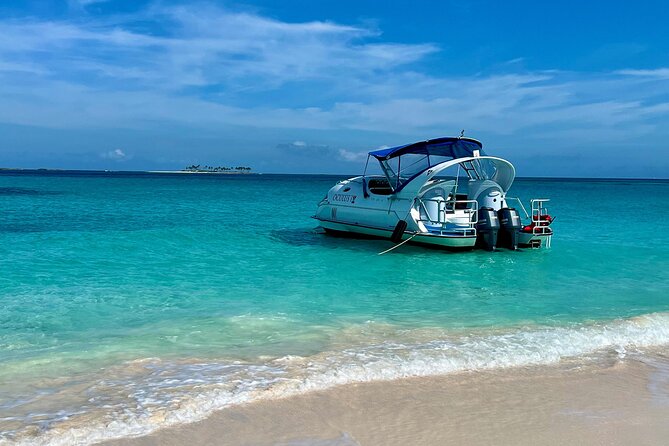 2 Hours Sip and Snorkeling Experience in Bahamas - Coral conditions are real: plan for variation, not perfection