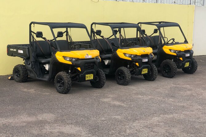 4-Hour Buggy Tour of New Providence (Inclusive of water & local deserts) - Key highlights you should care about