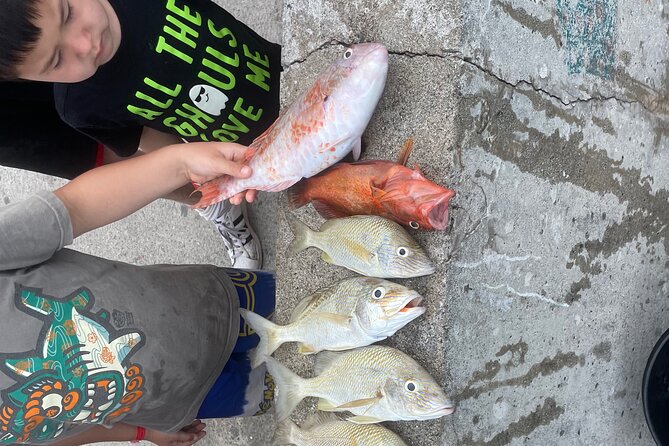 4-Hour Fishing Charter in Nassau - Key Points You Should Know Before You Go