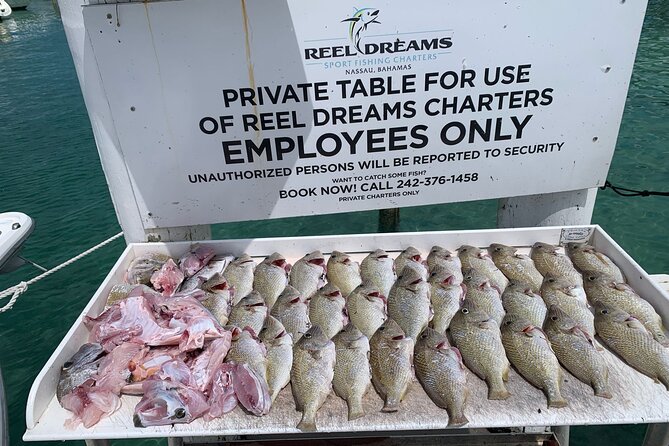 4 hours 34ft Day Dream Private Charter in Nassau - How Captain Justin and Crew Improve Your Odds on the Water