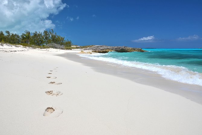 4 hours 38ft Reel Dreams Private Charter in Nassau - Morning or afternoon departure: how to choose the right mood