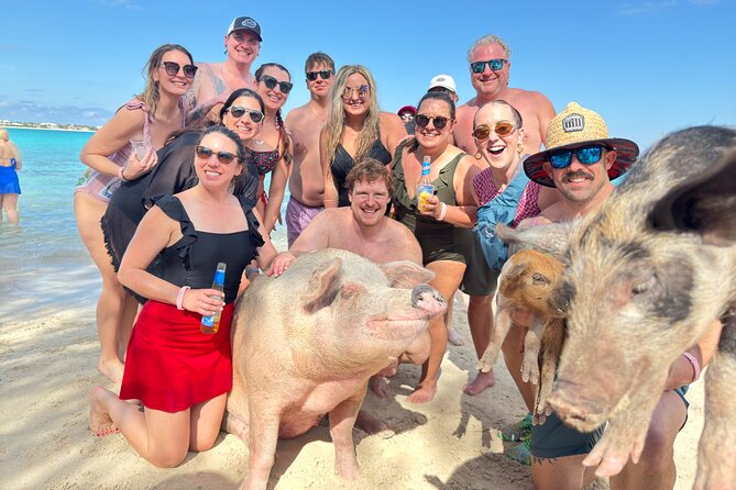 4-Island Tour Swimming Pigs, turtles, snorkeling , rose island, - Key highlights to look for