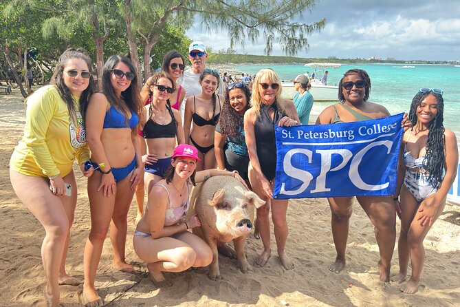 4-Island Tour Swimming Pigs, turtles, snorkeling , rose island, - Price and value: what $175 buys on Nassau water