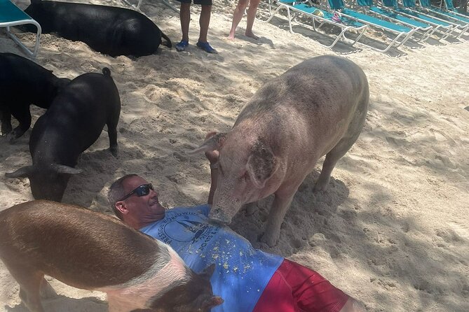 4hr Private Tour Island Hop Snorkel w/ Turtles & Sip Bahama Mamas - Rose Island, Bahama Mamas, and Beach Games Mode