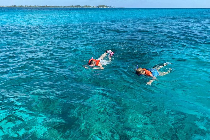 5 Hours Pigs and Turtles with Beach Stop in Bahamas - Atholl Island Pig Time: Short Ride, Big Moments