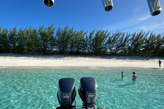 5 Hours Pigs and Turtles with Beach Stop in Bahamas - What the $275 Gets You: Lunch, Unlimited Drinks, and Gear