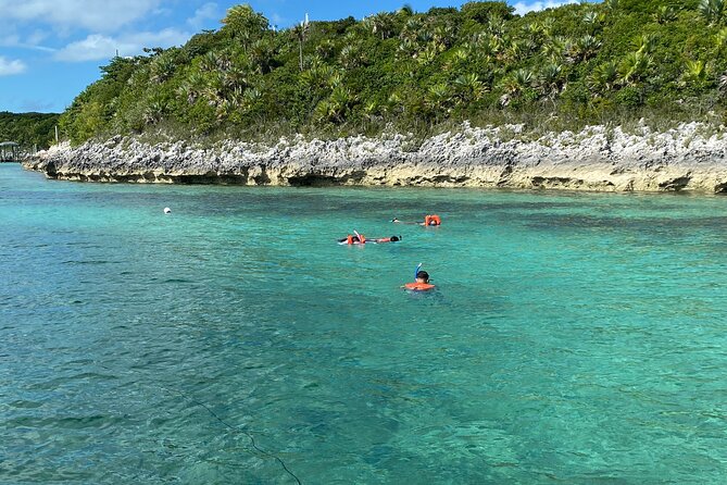 5 Hours Pigs and Turtles with Beach Stop in Bahamas - Rose Island Snorkeling and Turtles: The Best Stretch of Beach Time