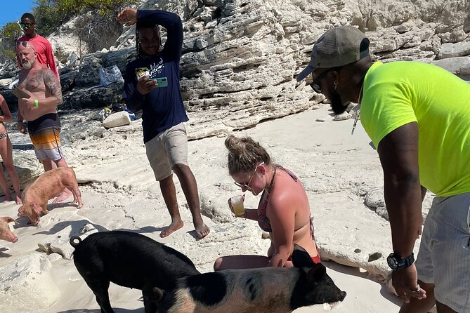 All Inclusive 4- Hours Private Charter - Rose Island and Turtle Cay: pig swim plus billionaire waterfront energy