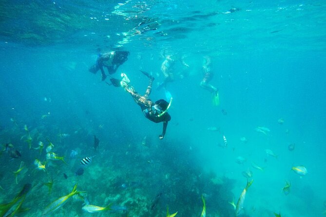 All Inclusive Half Day Sail and Snorkel - Key highlights at a glance
