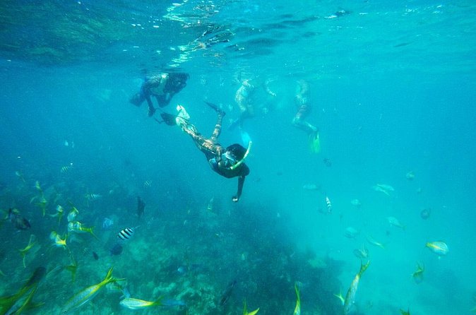All Inclusive Half Day Sail and Snorkel - Pickup, Timing, and the Wind Factor