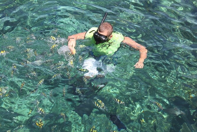 All Inclusive Half Day Sail and Snorkel - Rose Island, The Uninhabited Beach Stop and Reef Time