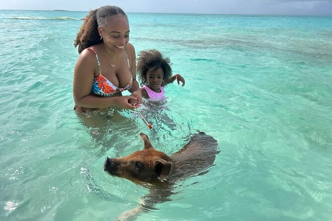 All Inclusive Pig Encounter, Snorkeling, Turtles, Lunch & Beach - Stop 2 at Green Cay: Turtle Sanctuary Time