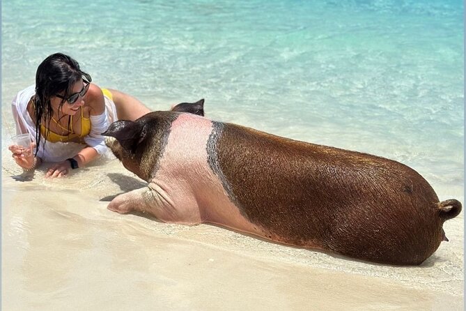 All Inclusive Pig Encounter, Snorkeling, Turtles, Lunch & Beach - The 007 Beach Club on Rose Island: Hammocks, Lunch, and Downtime