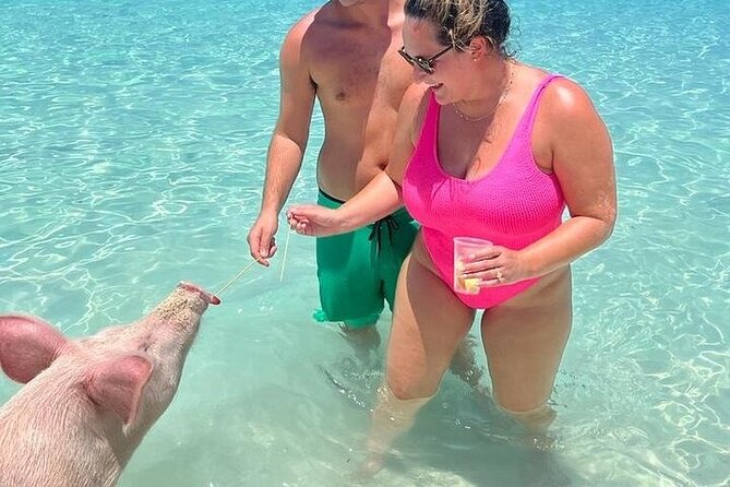 All Inclusive Pig Encounter, Snorkeling, Turtles, Lunch & Beach - What the “All Inclusive” Ticket Really Covers, and What Costs Extra