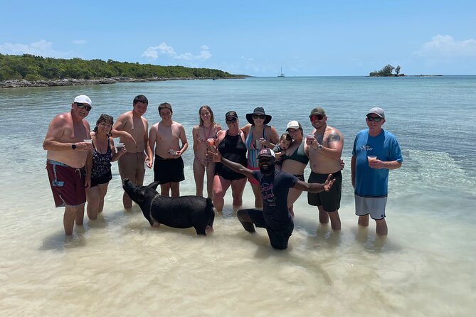 All Inclusive Swimming With The Pigs - Key highlights at a glance