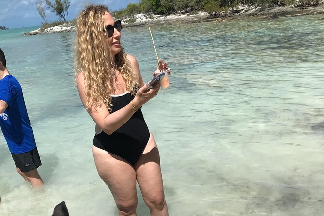 All Inclusive Swimming With The Pigs - Paradise Island in 25 minutes: celebrity house spotting, no pressure