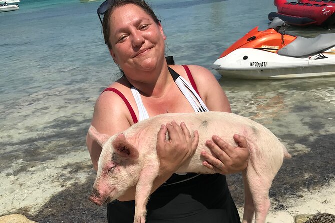 All Inclusive Swimming With The Pigs - Rose Island pig swim: what an hour feels like