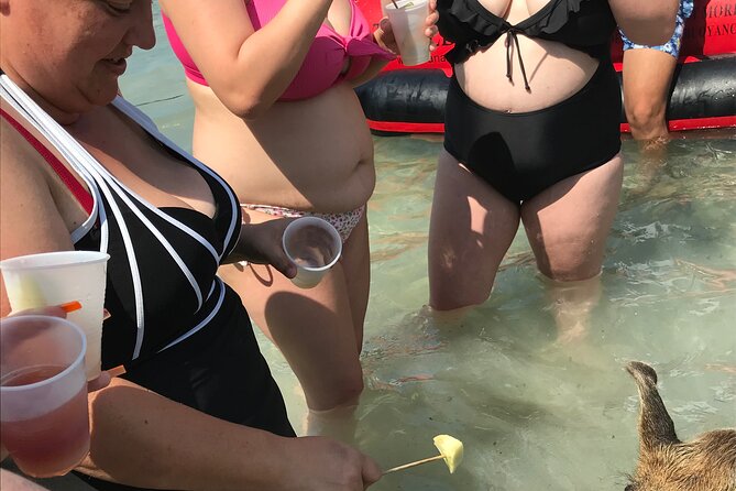 All Inclusive Swimming With The Pigs - Drinks, rum cake, local chocolate, and island music