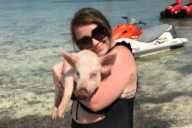All Inclusive Swimming With The Pigs - Small-group reality check: what to do if timing goes sideways