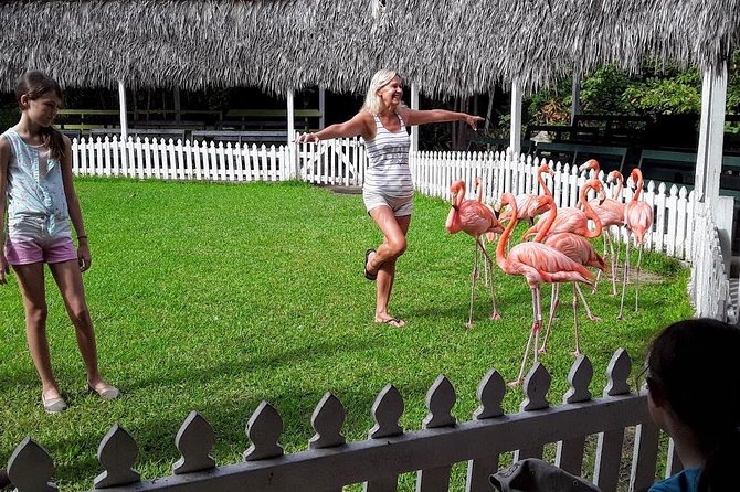 At YOUR Pace Private Tours V.I.P - Nassau, Bahamas - FAQ