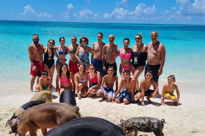 Athol Island Swimming Pigs Half-Day Boat Tour with Lunch - Key highlights worth booking for