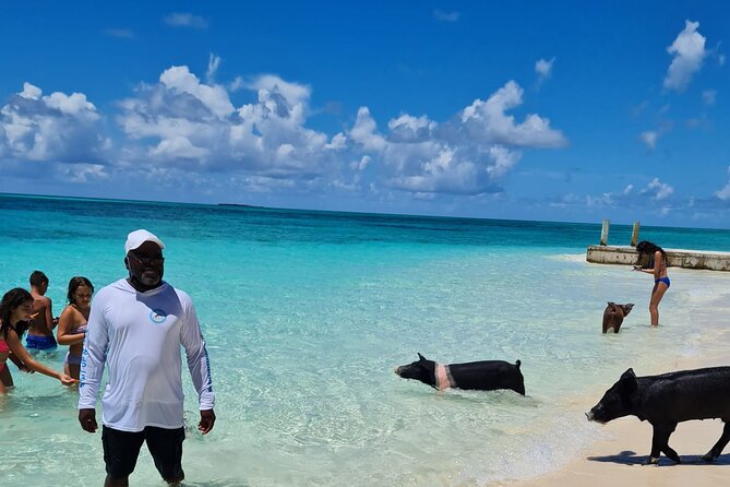 Athol Island Swimming Pigs Half-Day Boat Tour with Lunch - Nassau half-day, big variety: snorkeling, turtles, nostalgia, and piglets