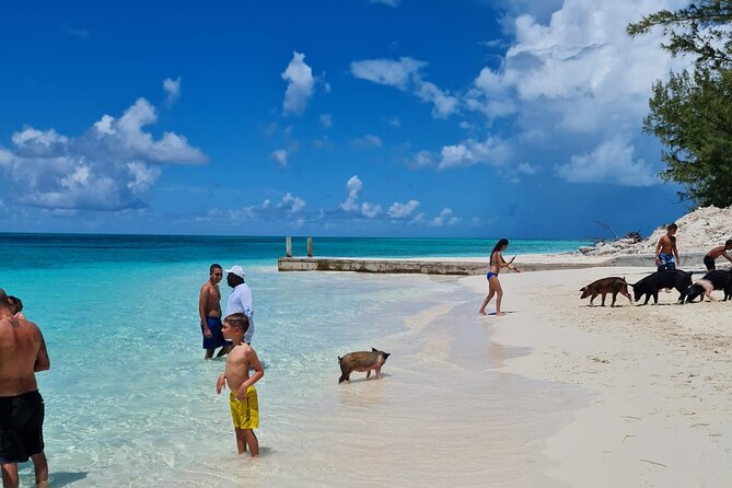 Athol Island Swimming Pigs Half-Day Boat Tour with Lunch - Pearl Island snorkeling for colorful reef fish, 30 minutes to make it count