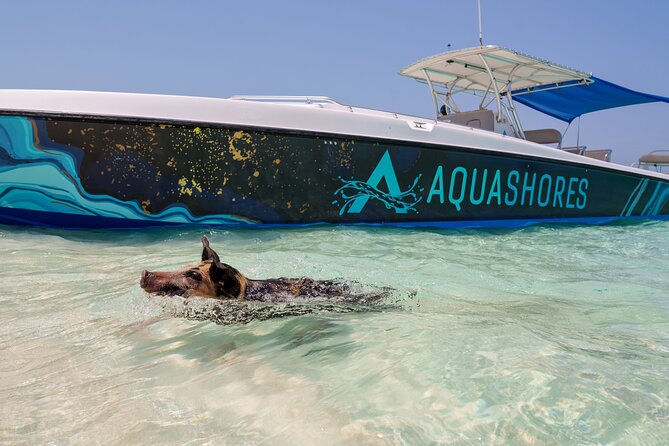 Bahamas Adventure: Pigs, Reef, Turtles, and Beach with Lunch - The Rose Island beach break: lunch, a welcome drink, and real hang-time options