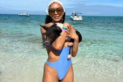 Bahamas Adventure: Pigs, Reef, Turtles, and Beach with Lunch