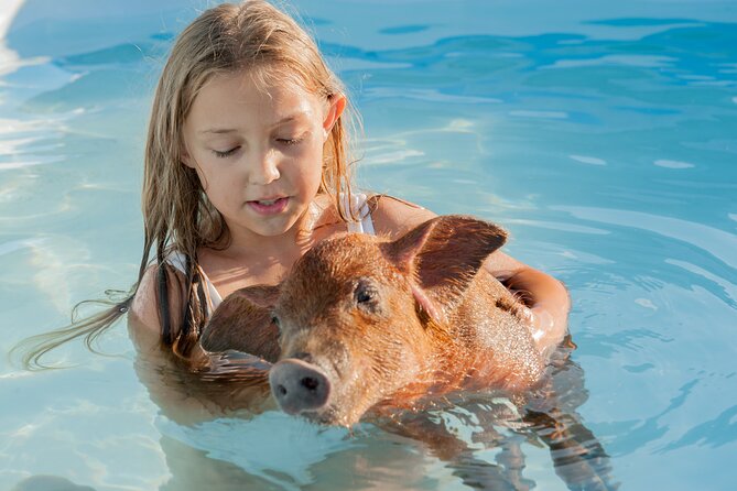 Bahamas Adventure: Pigs, Reef, Turtles, and Beach with Lunch - Pigs, selfies, and feeding time you can actually participate in