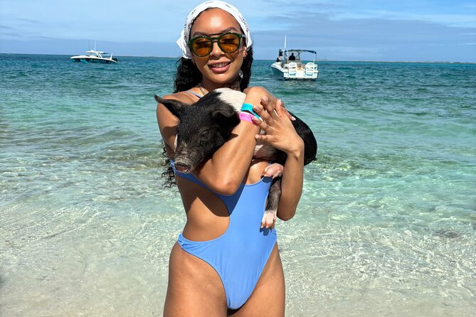 Bahamas Adventure: Pigs, Reef, Turtles, and Beach with Lunch - Rose Island snorkeling: 35 minutes, gear included, reef expectations managed