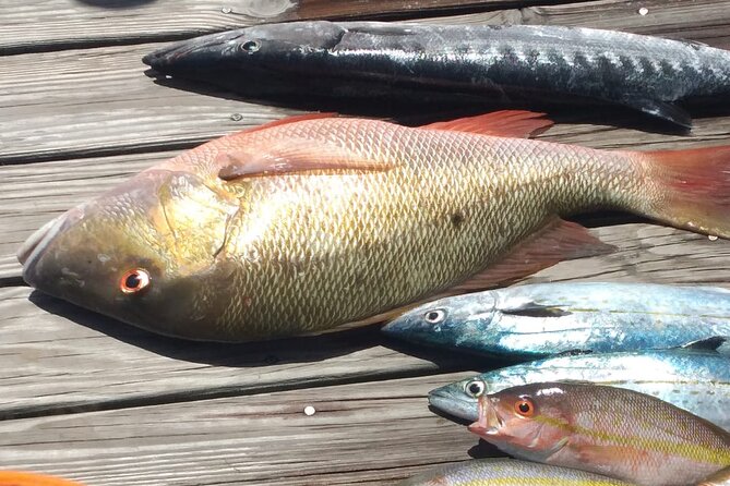 Bahamas Deep Sea Fishing - Bottom Fishing: Anchoring Up for Grouper, Grunts, and Barracudas