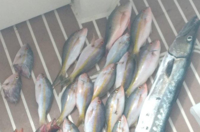 Bahamas Deep Sea Fishing - Weather Reality Check: Good Conditions Are Required