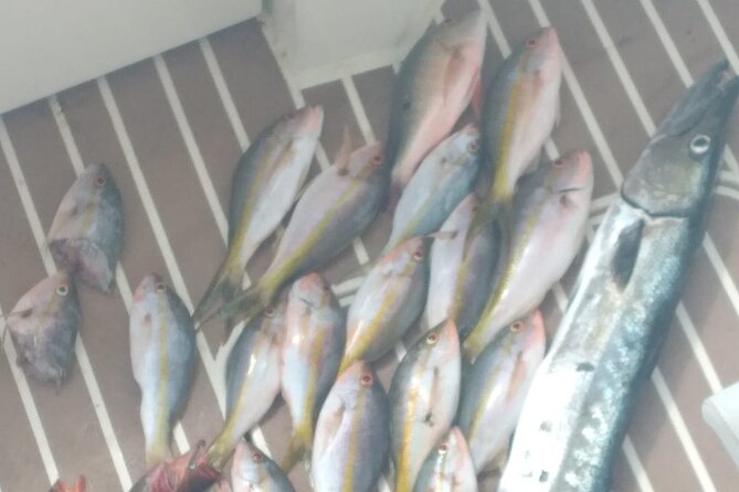 Bahamas Deep Sea Fishing - Reef Fishing and Slow Trolling Near the Structure
