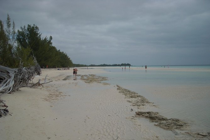 Bahamas Get-A-Round Bus Pass - The Route Stops That Shape Your Day