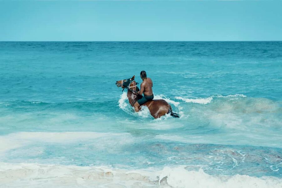 Bahamas: Nassau Horseback Riding on Beaches & Trails - Why this Nassau ride into the shallows feels different