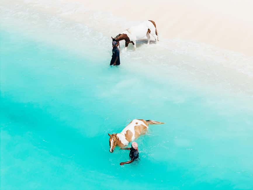 Bahamas: Nassau Horseback Riding on Beaches & Trails - Getting matched with your horse and a safety game plan