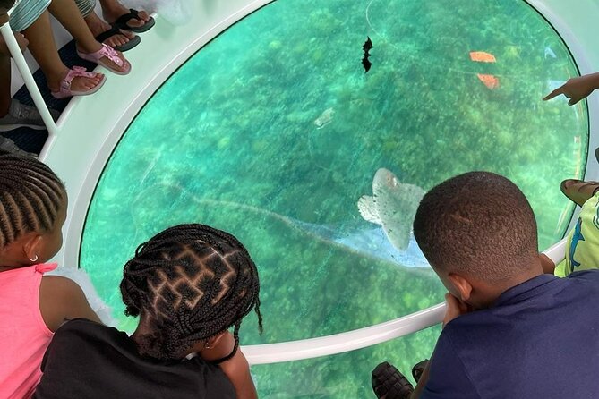 Bahamas on a Semi Submersive Glass Bottom Boat - Price and Value: Is $140 a Good Deal for 90 Minutes?
