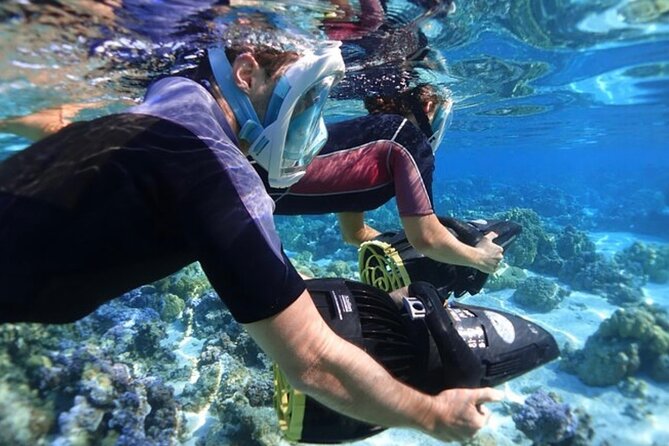 Bahamas Sea Scooter Snorkeling Adventure - Key highlights you will actually care about
