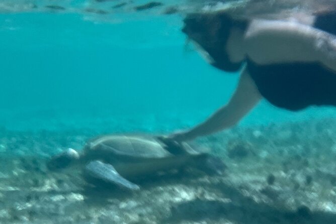 Bahamas Sea Scooter Snorkeling Adventure - Lunch on the beach, plus optional swim or sun time