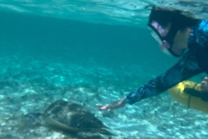 Bahamas Sea Scooter Snorkeling Adventure - Guides like Mikey, and how the day gets richer