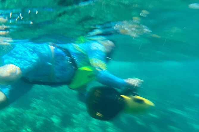 Bahamas Sea Scooter Snorkeling Adventure - Price and value for $120 per person