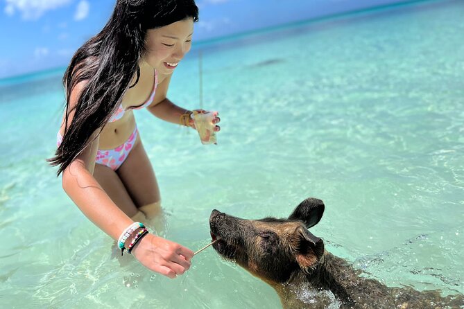 Bahamas Swimming Pigs Experience on Rose Island - Key things to know before you go