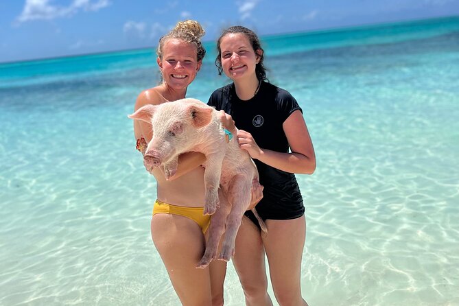Bahamas Swimming Pigs Experience on Rose Island - Can you swim with the pigs, or is it more like feeding and petting?