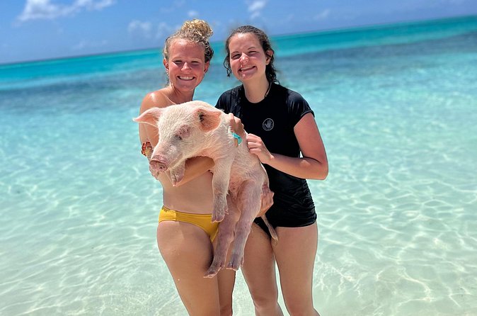 Bahamas Swimming Pigs Experience on Rose Island - Lunch on Rose Island: included, and often a real highlight