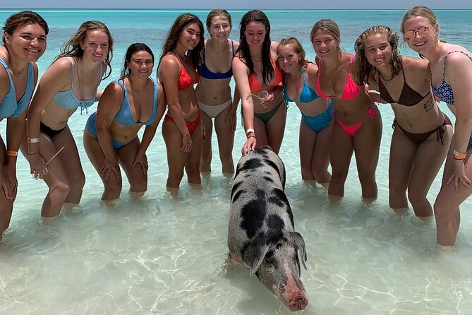 Bahamas Swimming Pigs Experience on Rose Island - The things people love most, and why they matter