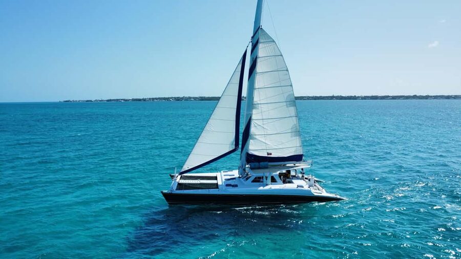 Bahamas: Swimming Pigs & Snorkeling Cruise with Lunch & Rum - Swimming pigs on Rose Island: the 45-minute experience you came for