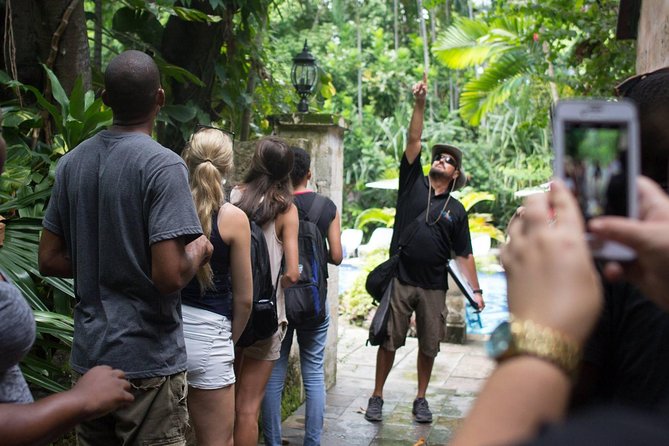 Bites of Nassau Food and Walking Tour - Vegetarian options, seafood substitutions, and the vegan reality check