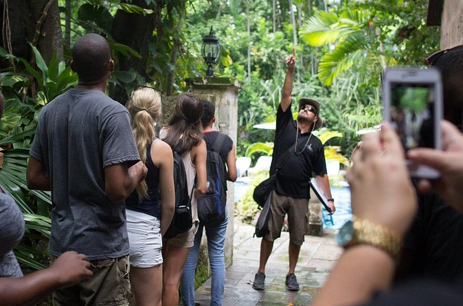 Bites of Nassau Food and Walking Tour - Walking pace, heat management, and what to pack